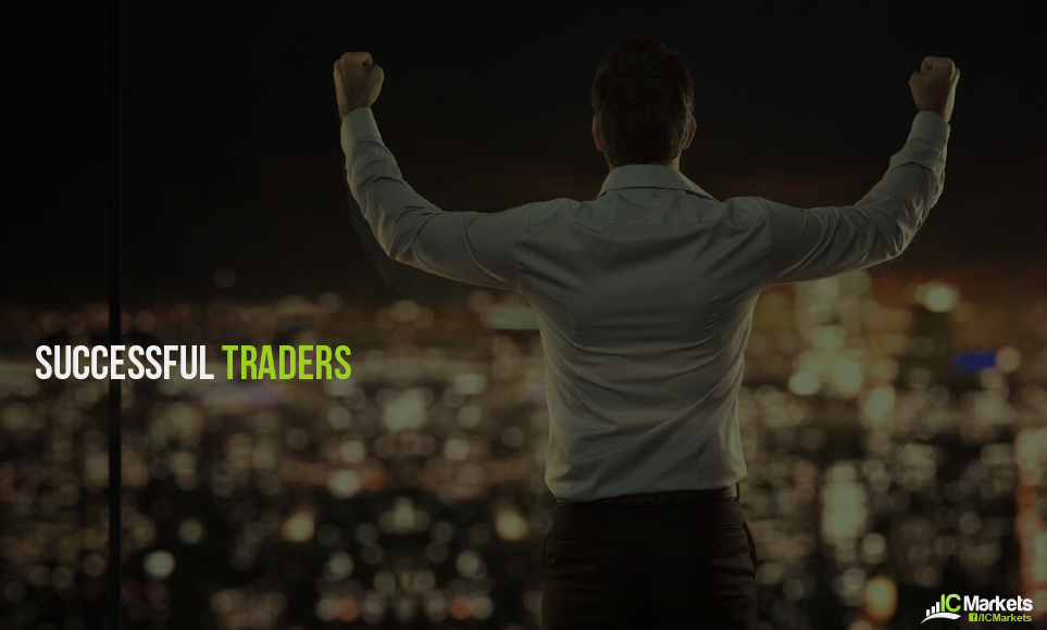 What Can We Learn From Successful Traders?